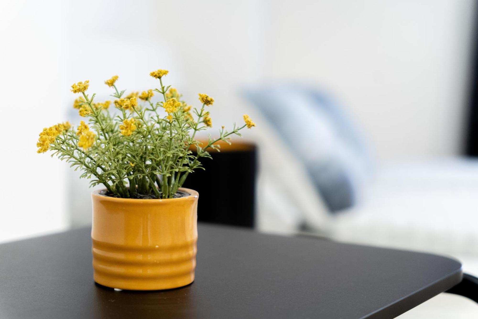 Apartment 1 New Just Steps Away From Old Town And The Florence Bus Station *